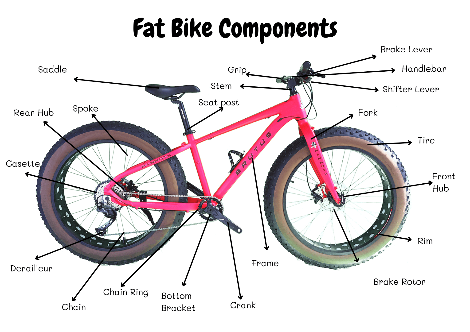 Parts of the Mountain Bike Fat Bike and Its Functions